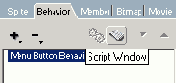  Script Window   Behavior