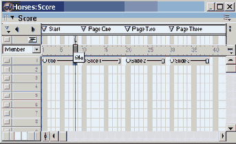    Loop   8  Script